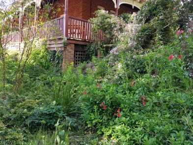 bickley-valley-gardens-fawkes-house-veranda